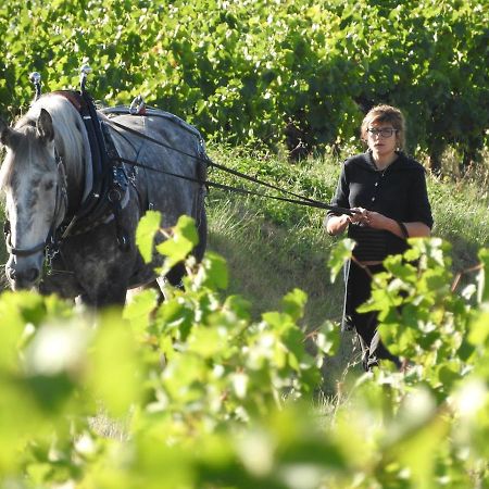 Domaine Houillon Hotel Faucon  Luaran gambar