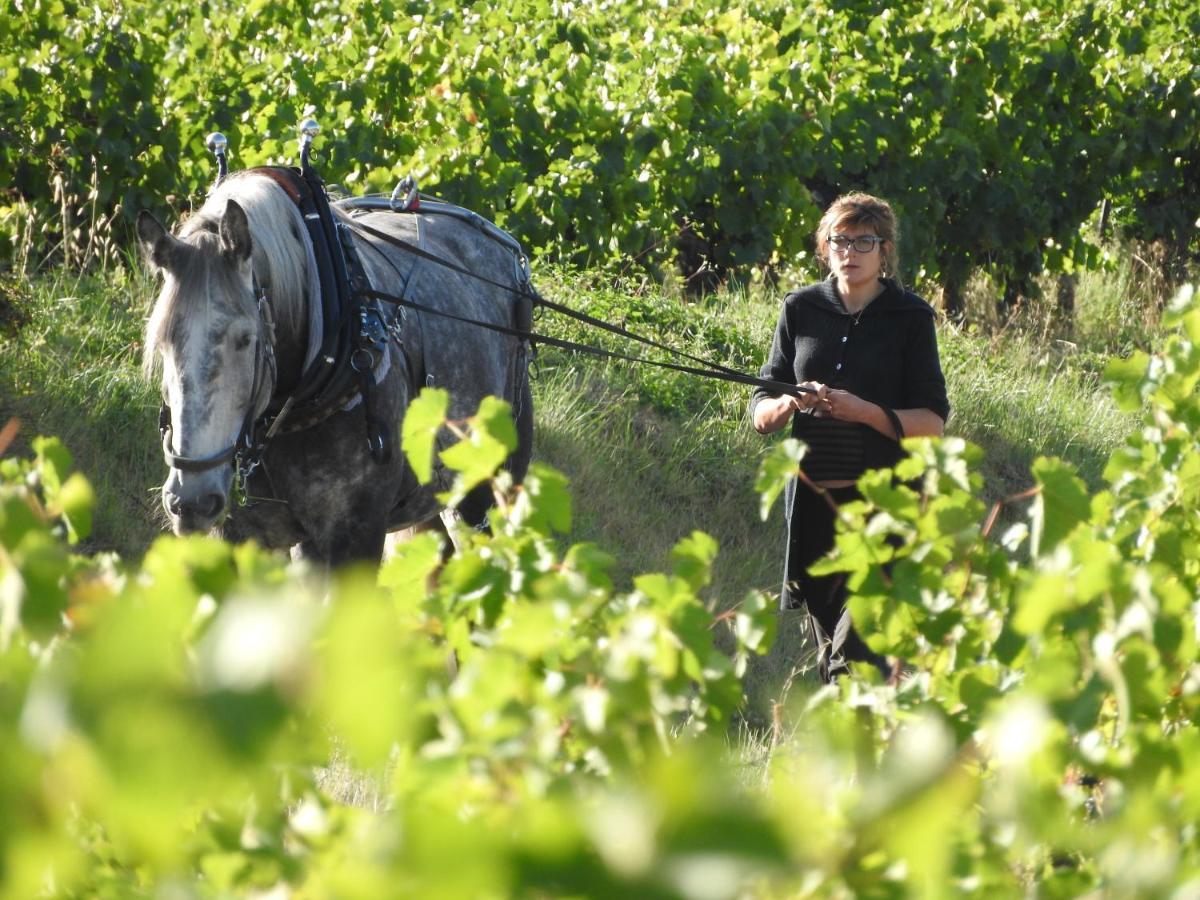 Domaine Houillon Hotel Faucon  Luaran gambar